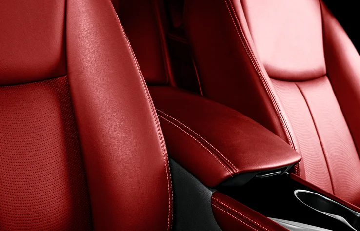 Automotive Elegance