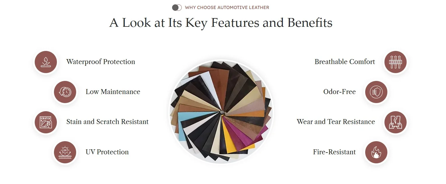Automotive leather features